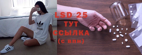 ГАЛЛЮЦИНОГЕННЫЕ ГРИБЫ Осинники