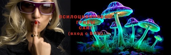 ГАЛЛЮЦИНОГЕННЫЕ ГРИБЫ Осинники